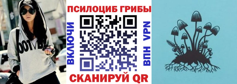 купить  цена  Бокситогорск  ОМГ ОМГ маркетплейс  Псилоцибиновые грибы MAGIC MUSHROOMS 